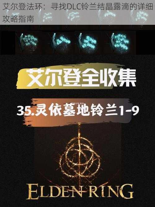 艾尔登法环：寻找DLC铃兰结晶露滴的详细攻略指南