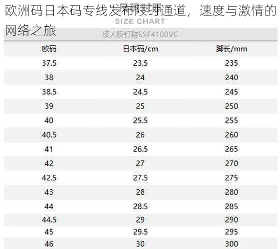 欧洲码日本码专线发布限时通道，速度与激情的网络之旅