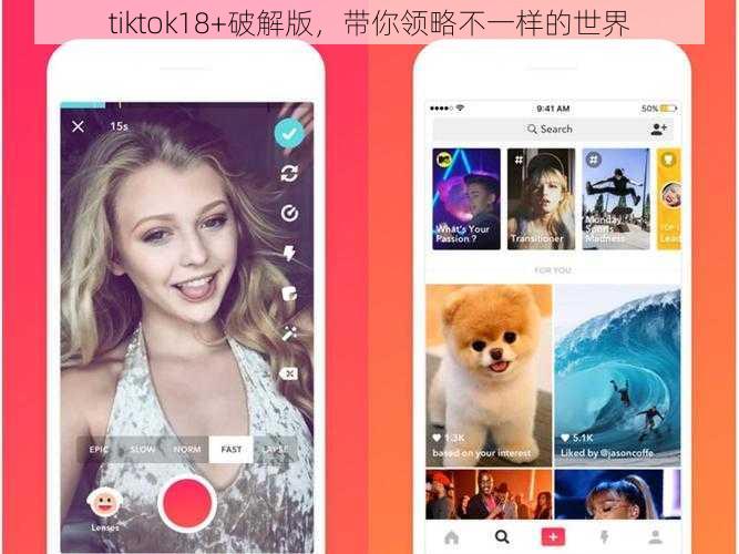 tiktok18+破解版，带你领略不一样的世界