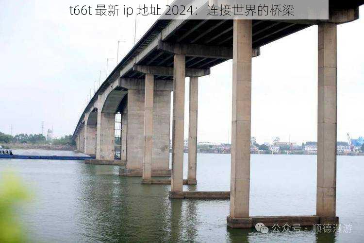 t66t 最新 ip 地址 2024：连接世界的桥梁