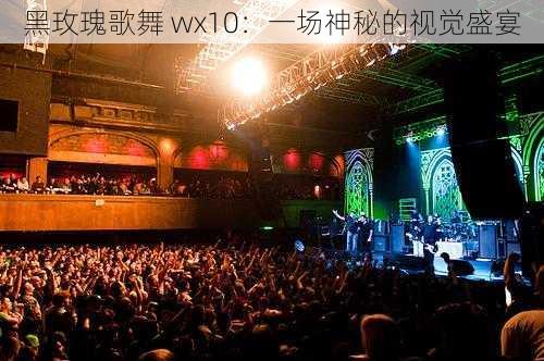 黑玫瑰歌舞 wx10：一场神秘的视觉盛宴