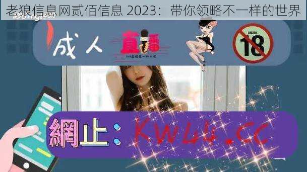 老狼信息网贰佰信息 2023：带你领略不一样的世界