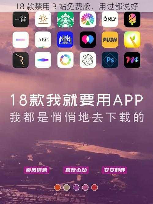 18 款禁用 B 站免费版，用过都说好