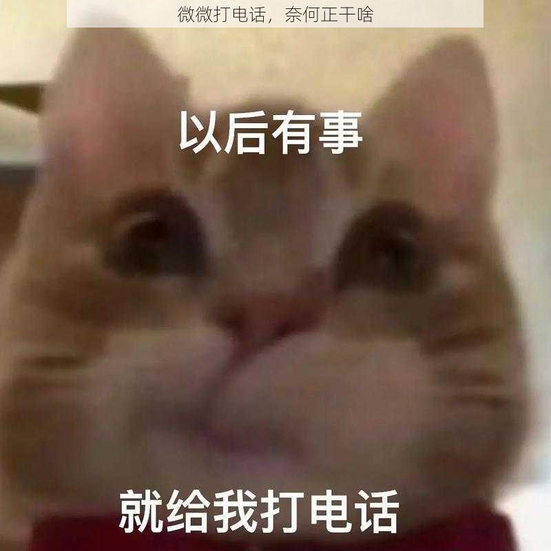 微微打电话，奈何正干啥