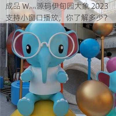 成品 W灬源码伊旬园大象 2023 支持小窗口播放，你了解多少？