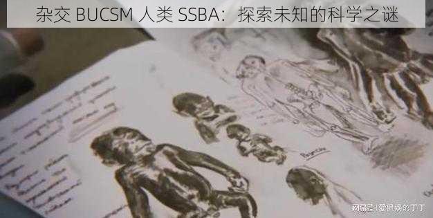 杂交 BUCSM 人类 SSBA：探索未知的科学之谜