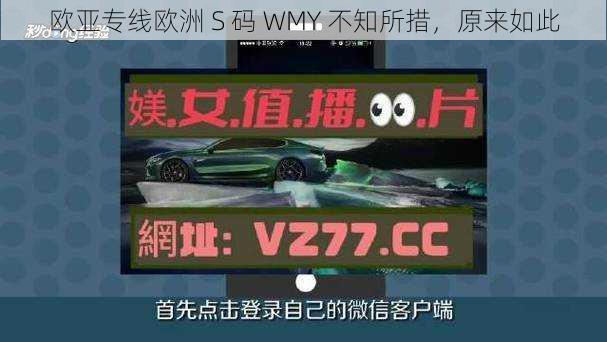 欧亚专线欧洲 S 码 WMY 不知所措，原来如此