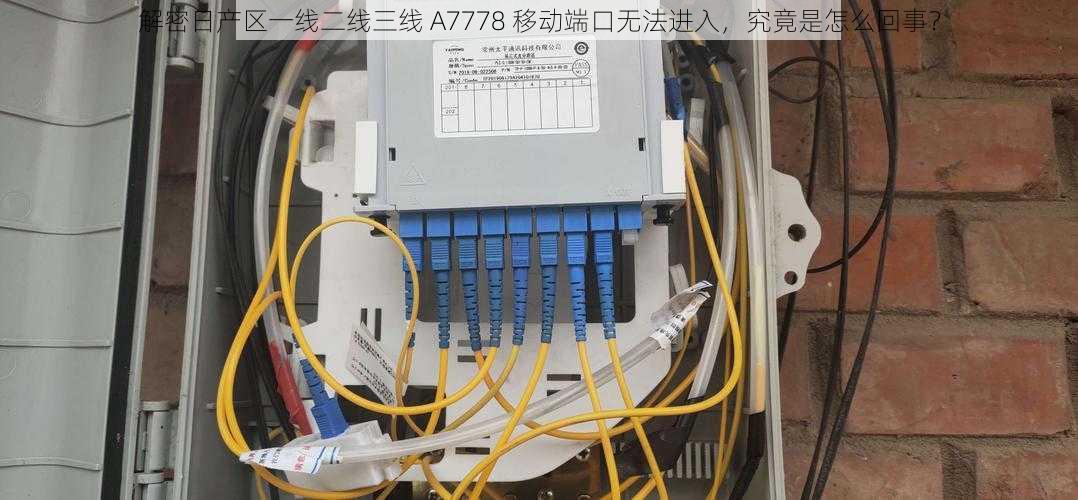 解密日产区一线二线三线 A7778 移动端口无法进入，究竟是怎么回事？