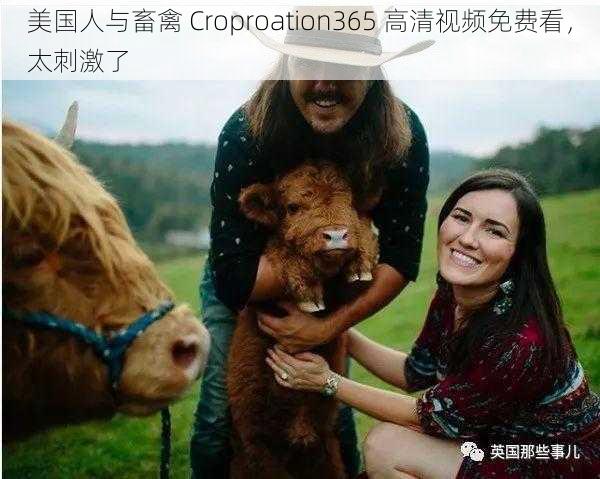 美国人与畜禽 Croproation365 高清视频免费看，太刺激了