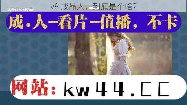 v8 成品人，到底是个啥？