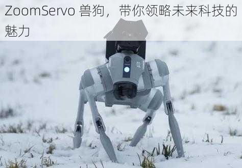 ZoomServo 兽狗，带你领略未来科技的魅力