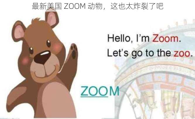 最新美国 ZOOM 动物，这也太炸裂了吧