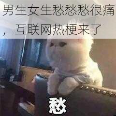 男生女生愁愁愁很痛，互联网热梗来了