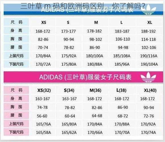 三叶草 m 码和欧洲码区别，你了解吗？