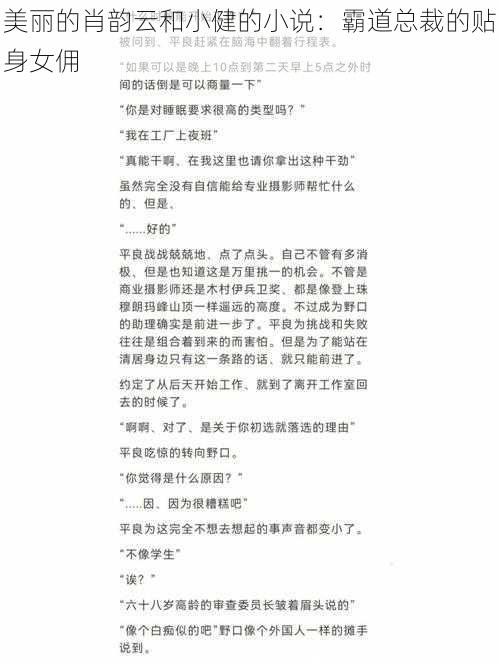 美丽的肖韵云和小健的小说：霸道总裁的贴身女佣