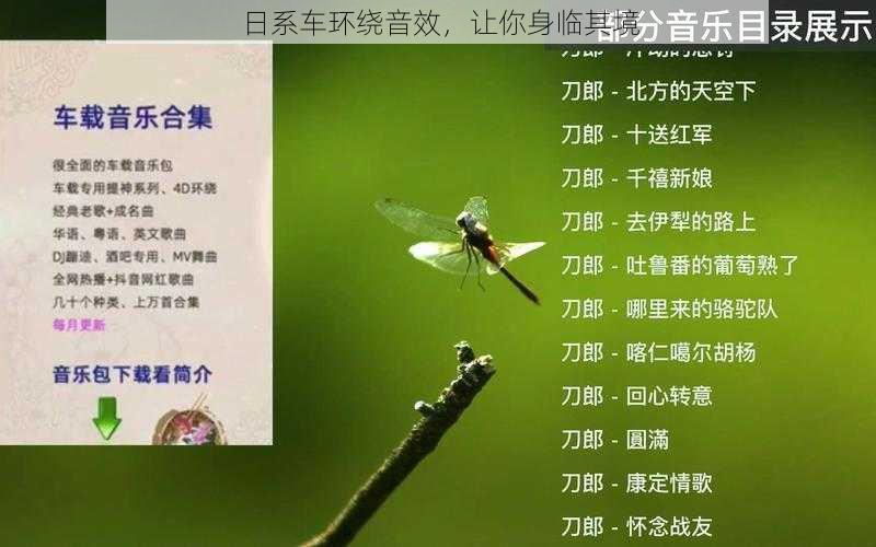 日系车环绕音效，让你身临其境