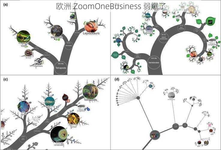 欧洲 ZoomOneBusiness 弱爆了