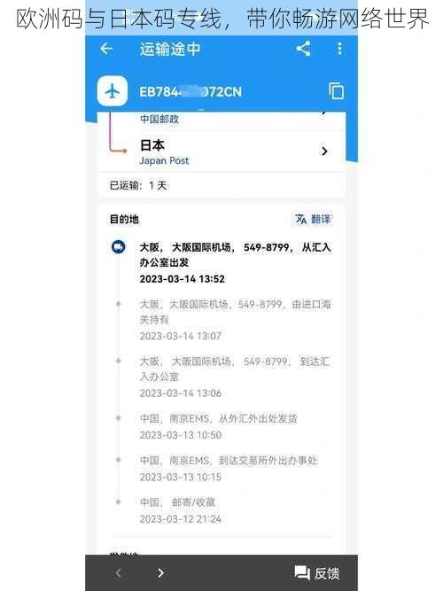 欧洲码与日本码专线，带你畅游网络世界