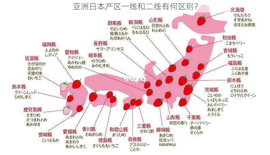 亚洲日本产区一线和二线有何区别？