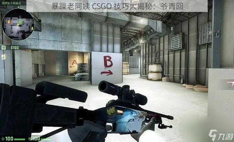 暴躁老阿姨 CSGO 技巧大揭秘：爷青回