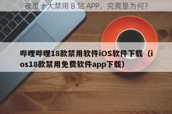 夜里十大禁用 B 站 APP，究竟是为何？