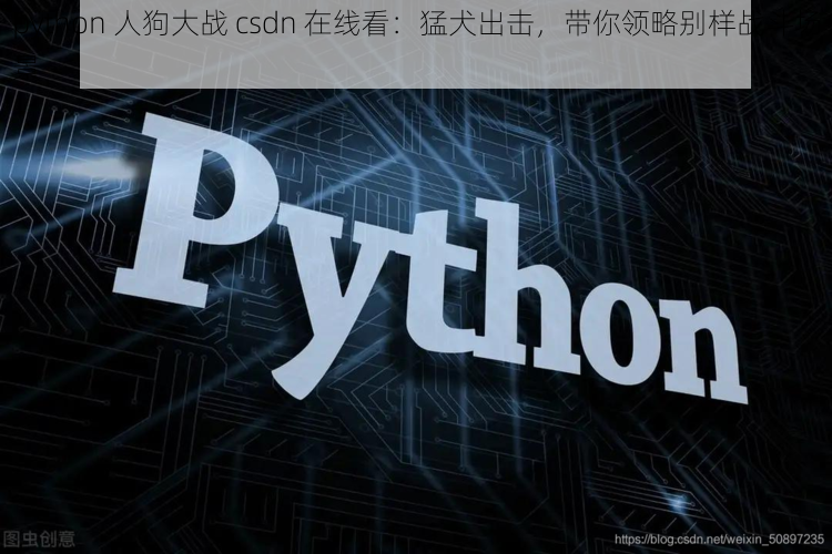 python 人狗大战 csdn 在线看：猛犬出击，带你领略别样战斗场景