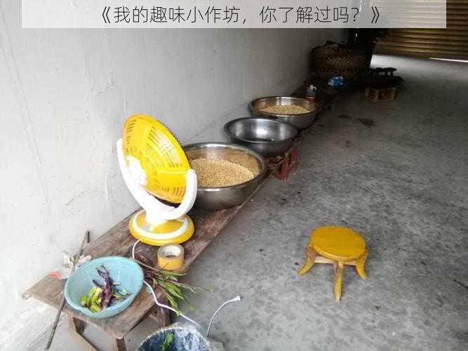 《我的趣味小作坊，你了解过吗？》