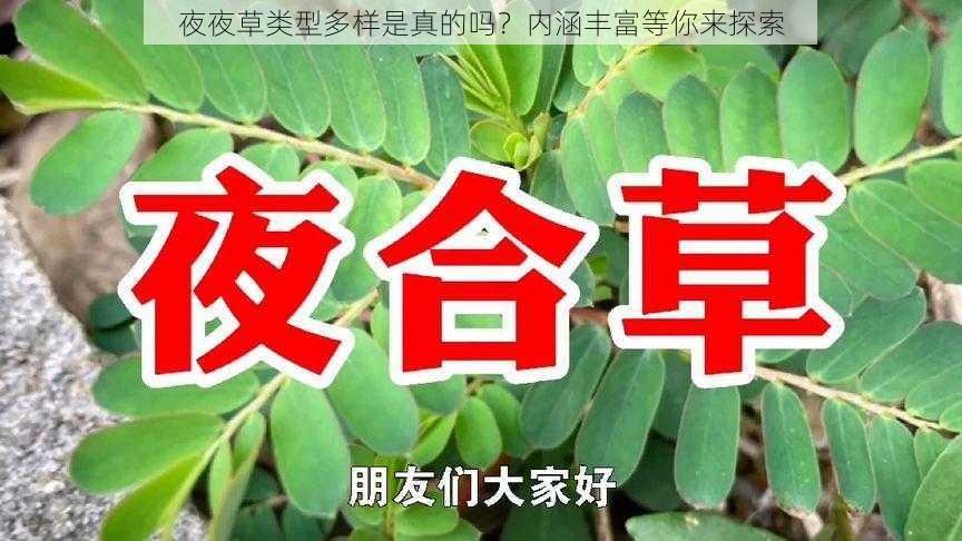 夜夜草类型多样是真的吗？内涵丰富等你来探索