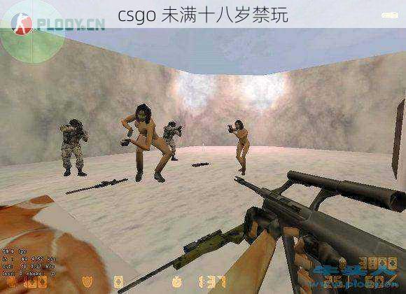 csgo 未满十八岁禁玩