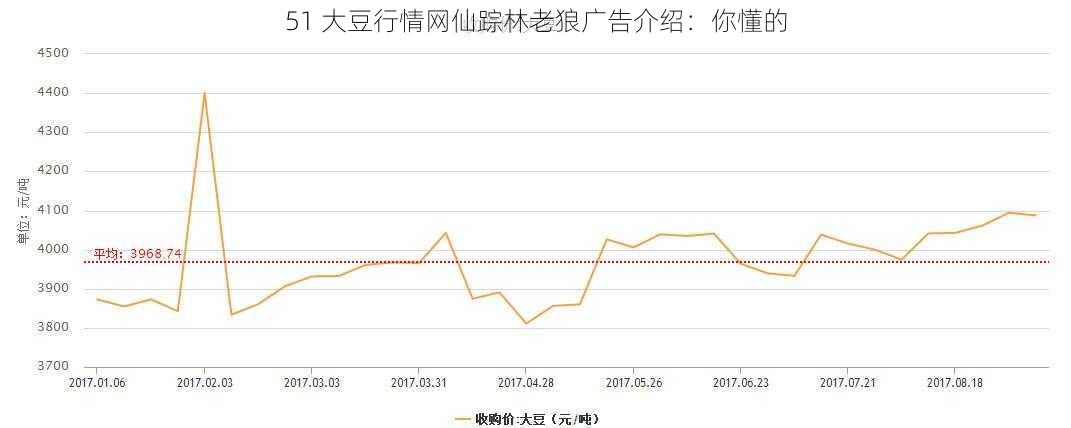 51 大豆行情网仙踪林老狼广告介绍：你懂的