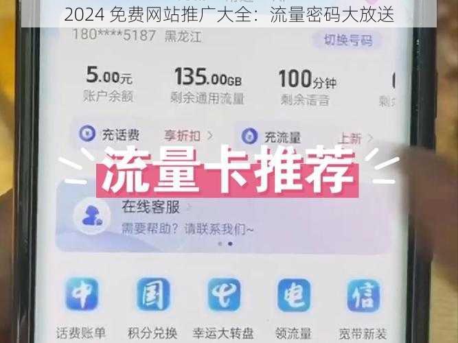 2024 免费网站推广大全：流量密码大放送