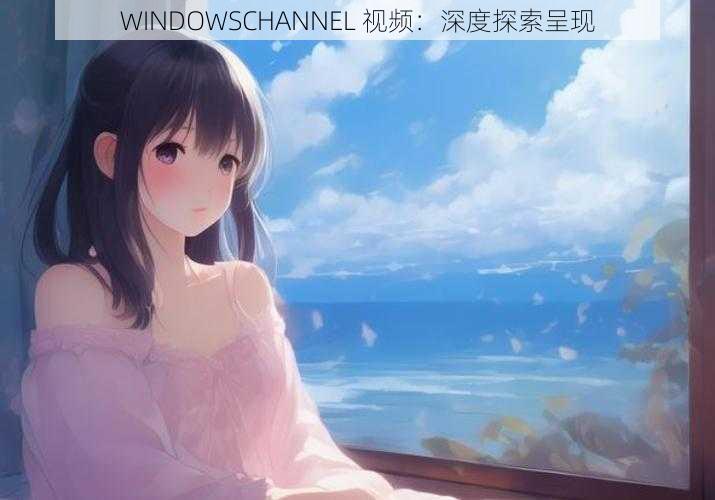 WINDOWSCHANNEL 视频：深度探索呈现